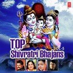 Top Shivratri Bhajans Vol - 5 - Vipin Sachdeva Song Download